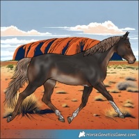 Horse Color:Liver Chestnut Tobiano