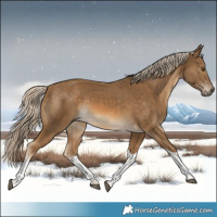 Horse Color:White Spotted Chocolate Palomino Mushroom Tobiano Rabicano 