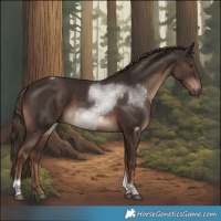 Horse Color:Liver Chestnut Tobiano 