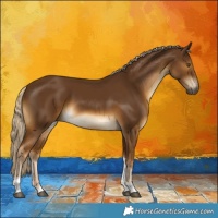 Horse Color:Chocolate Palomino Tobiano 