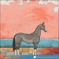 Horse Color:Grullo Appaloosa