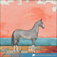 Horse Color:Grullo Varnish 