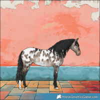 Horse Color:Brown Dun Near Leopard Brindle 