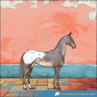 Horse Color:Liver Chestnut Snowcap 