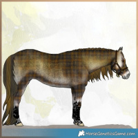 Horse Color:Void Plaid  White Spotted Liver Red Onyx Roan 