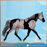 Horse Color:Void Watercolor Plaid  White Spotted Liver Red Dun Tobiano 