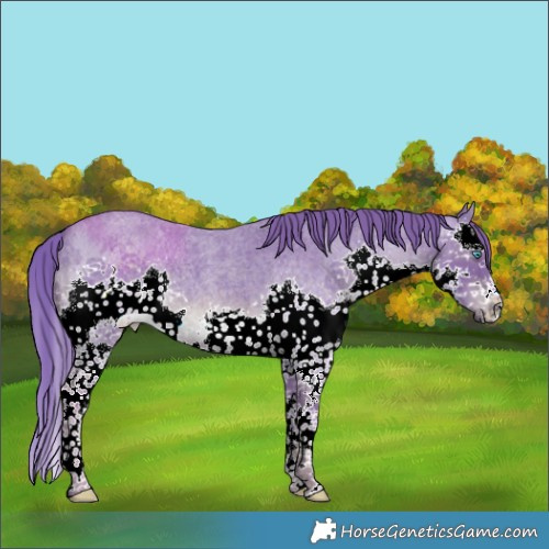 Horse Color:Watercolor Liver Red Roan Splash 