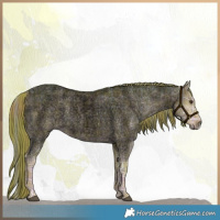 Horse Color:Void Watercolor Plaid Liver Red Dun Ice Roan Brindle