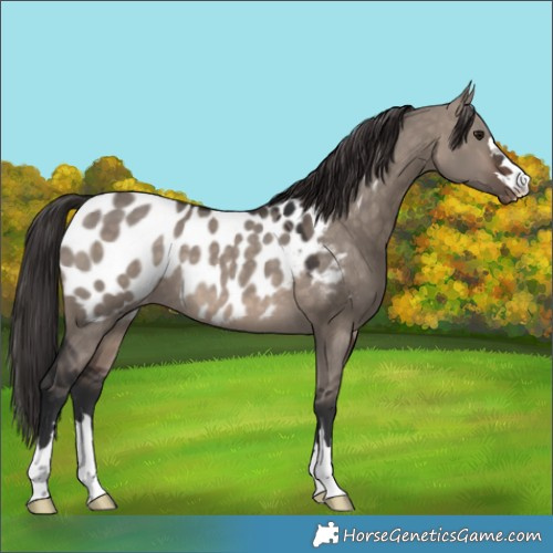 Horse Color:Brown Dun Mushroom Blanket 