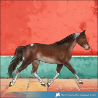 Horse Color:White Spotted Liver Chestnut Tobiano 