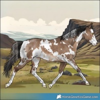 Horse Color:White Spotted Liver Red Dun 