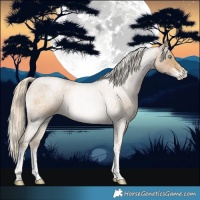 Horse Color:Chocolate Palomino Roan Pearl Mushroom Sabino Rabicano