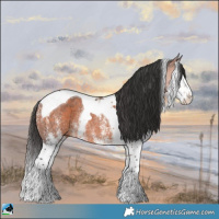 Horse Color:White Spotted Brown Splash Tobiano Rabicano