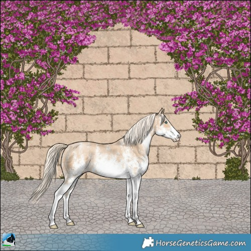 Horse Color:White Spotted Palomino Pearl Rabicano 