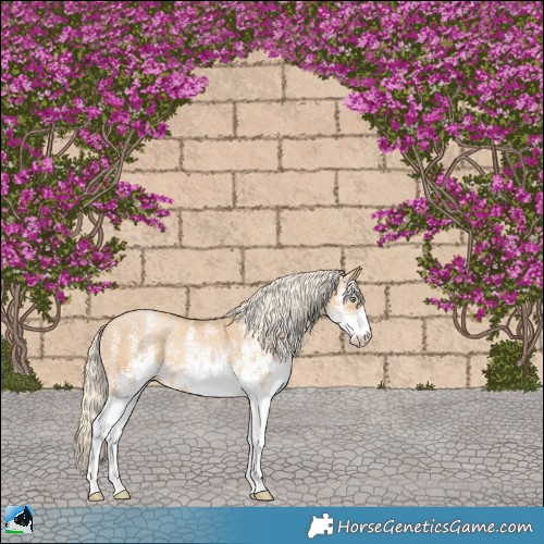 Horse Color:White Spotted Palomino Pearl Rabicano 