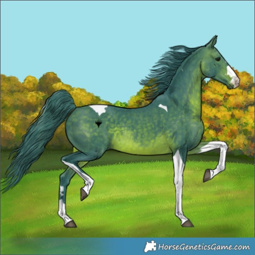 Horse Color:Watercolor Brown Tobiano 