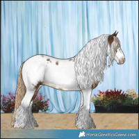 Horse Color:Chocolate Palomino Tobiano Frame 