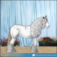 Horse Color:Liver Chestnut Tobiano Frame Near Leopard