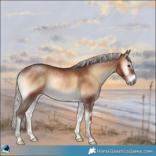 Horse Color:Silver Brown Onyx Rabicano 