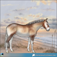 Horse Color:Silver Brown Onyx Rabicano 