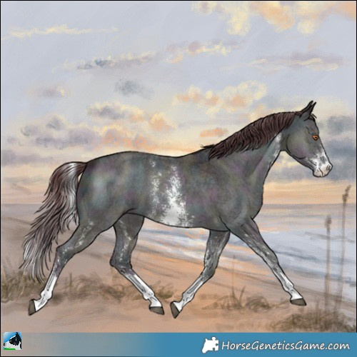Horse Color:Midnight Chocolate Brown Chinchilla Onyx Sabino