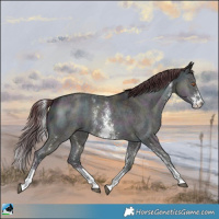 Horse Color:Midnight Chocolate Brown Chinchilla Onyx Sabino