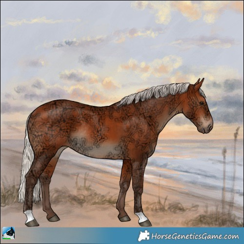 Horse Color:Silver Bay Ice Rabicano