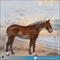 Horse Color:Silver Bay Ice Rabicano 