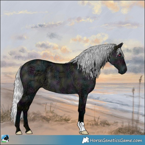 Horse Color:Midnight Silver Brown Chinchilla Ice Dun 