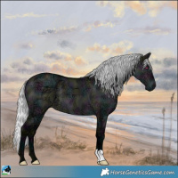 Horse Color:Midnight Silver Brown Chinchilla Ice Dun 