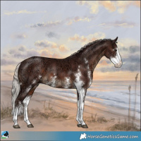 Horse Color:Chocolate Silver Brown Ice Sabino 
