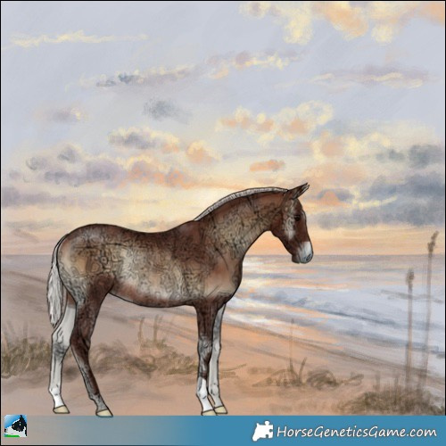 Horse Color:Chocolate Silver Brown Ice Onyx Rabicano 