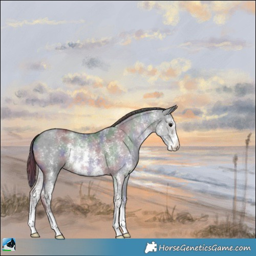 Horse Color:Nacre Black Sabino 