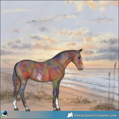 Horse Color:Nacre Brown Sabino Rabicano 