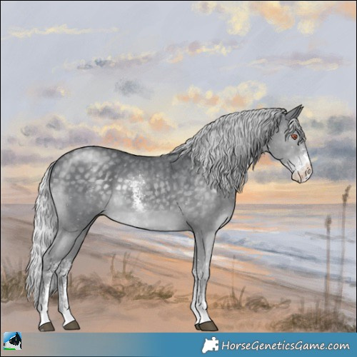 Horse Color:Silver Black Chinchilla Sabino 