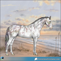 Horse Color:Nacre Brown Sabino Rabicano