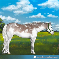 Horse Color:White Spotted Liver Chestnut Mushroom Sabino Splash