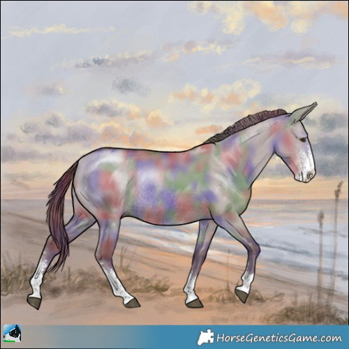 Horse Color:Nacre Chocolate Smoky Grullo Chinchilla Sabino Rabicano 