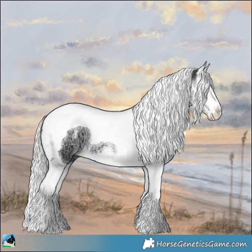 Horse Color:Silver Brown Chinchilla Ice Sabino Splash Tobiano