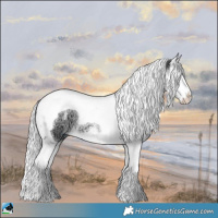 Horse Color:Silver Brown Chinchilla Ice Sabino Splash Tobiano 