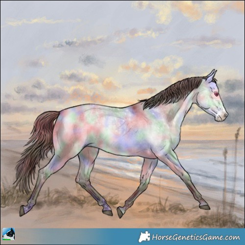 Horse Color:Nacre Chocolate Buckskin Chinchilla Dun Sabino Rabicano