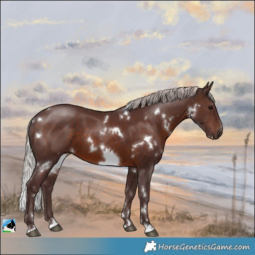Horse Color:White Spotted Chocolate Silver Brown 