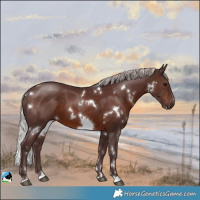 Horse Color:White Spotted Chocolate Silver Brown 