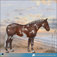 Horse Color:White Spotted Chocolate Silver Brown 