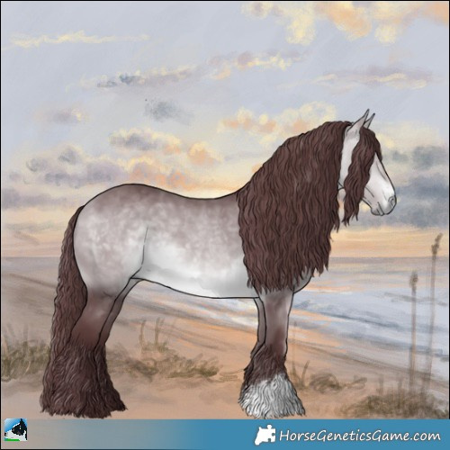 Horse Color:Chocolate Bay Chinchilla Sabino Rabicano