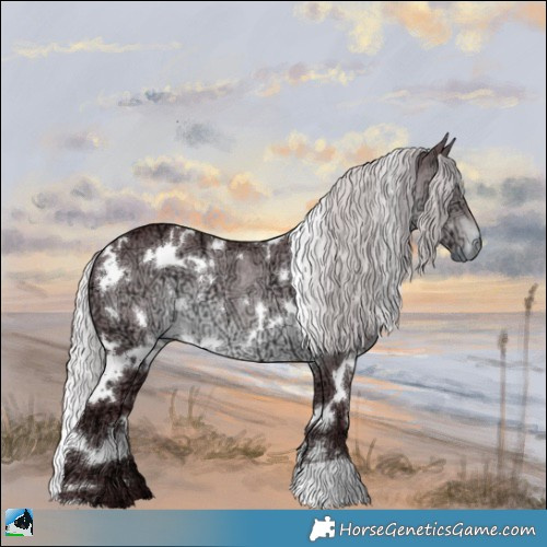 Horse Color:White Spotted Chocolate Silver Brown Chinchilla Ice Rabicano