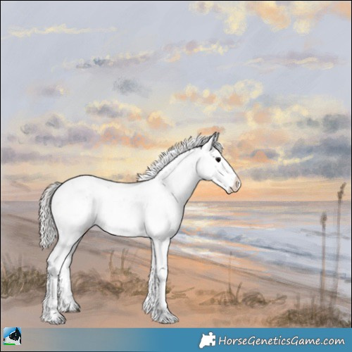 Horse Color:Chocolate Silver Brown Onyx Sabino 