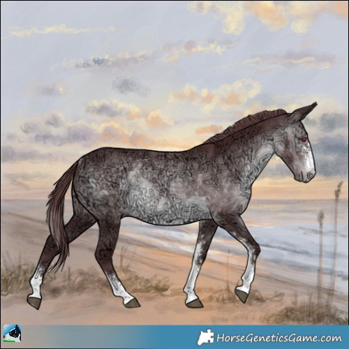 Horse Color:Chocolate Brown Chinchilla Ice Sabino Rabicano