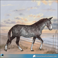 Horse Color:Chocolate Brown Chinchilla Ice Sabino Rabicano 