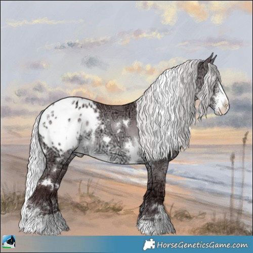 Horse Color:White Spotted Chocolate Silver Brown Chinchilla Ice Sabino Blanket 